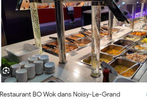 Appartement Paris Disneyland, Parking Gratuit, Rer A Noisy-le-Grand ภายนอก รูปภาพ